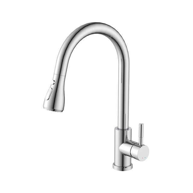 Kitchen Faucet