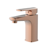 Basin Faucet 001