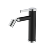 Basin Faucet 004