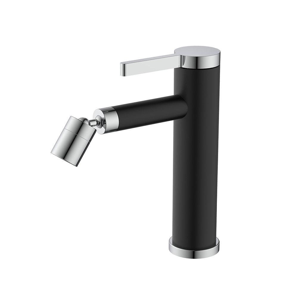 Basin Faucet 004